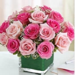 Pink and blush roses arranged in a square glass vase