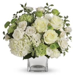 White and green arrangement