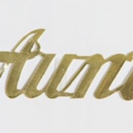 Gold script word "Aunt" on a white background
