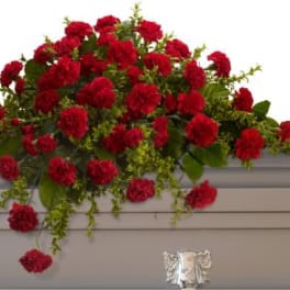Large arrangement of red carnations with green filler on a ledge