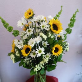 Dazzling Daisies by Forever Flowers