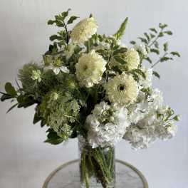 Jar Full of Nuetrals- DESIGNERS CHOICE