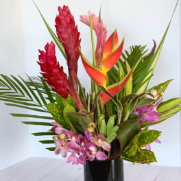 Tropical flower arrangement in a black vase with red and orange blooms