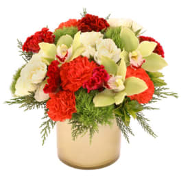 Winter Wonderment by FSN