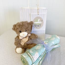 Teddy bear with a baby blanket and gift bag