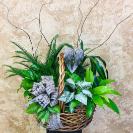 Basket arrangement of green plants with a decorative bow and angel wings
