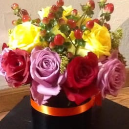 Colorful rose arrangement in a round box with an orange ribbon