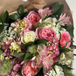 Cream + Pink DESIGNERS CHOICE