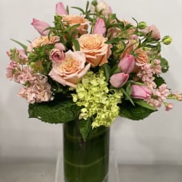 Pretty and Peach