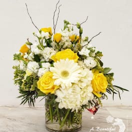 Yellow and White