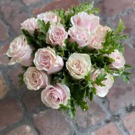 Bouquet of pale pink roses with green foliage
