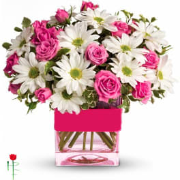 Roses & Daises