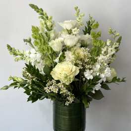 Serenity