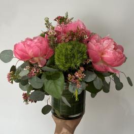 Summer Peony