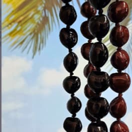 Strands of dark beaded necklaces hanging in front of a beach scene