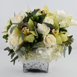 white and green
