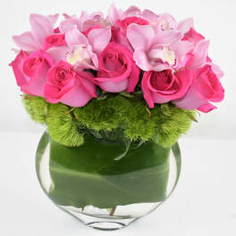 Pink Roses