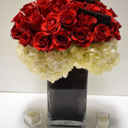Red passion