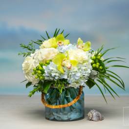 Classical Coastal