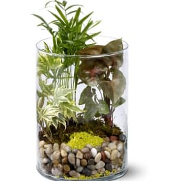 Garden in Glass - by Camile's Flowers & Gifts