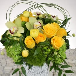 summer meadow