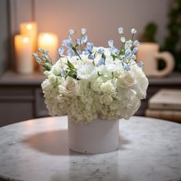 White roses and hydrangeas in a white vase with pale blue accents
