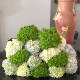 Clustered hydrangea arrangement in green, white, and pale blue