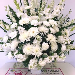 Pure Whites