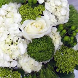 White flowers with green pom-pom blooms in a compact arrangement