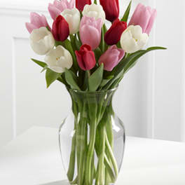 Bouquet of pink, red, and white tulips in a clear glass vase