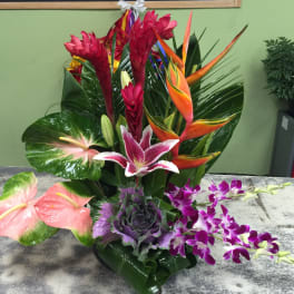 Tropical flower arrangement with orchids, anthuriums, and bird of paradise
