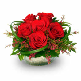 Low glass bowl of red roses with looping green blades and pink filler flowers