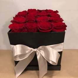 Red roses arranged in a black box with a white satin bow