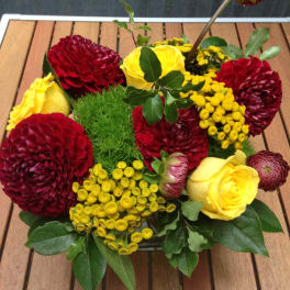 Low bouquet of red and yellow flowers in a container