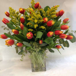 Grand Sunset Tulips