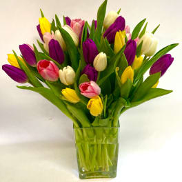 Arrangement of purple, yellow, white, and pink tulips in a clear square glass vase