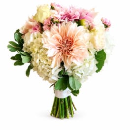 Celebrate in bloom