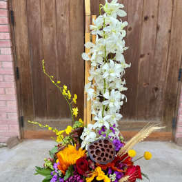 Fall colors Zen Artistry