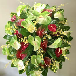 #81 OBAKE RAINBOW & PELE ANTURIUM WREATH