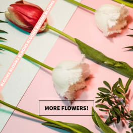 Single Stem Flower