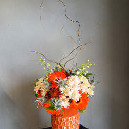 Orange and cream mixed flower arrangement in a textured orange vase with curly branches