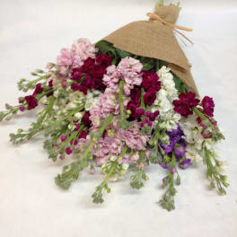 Bouquet of pink, white, and purple flowers wrapped in burlap