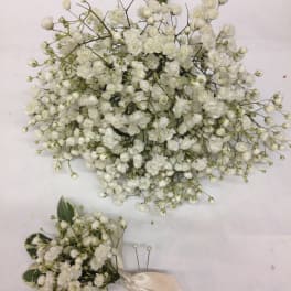 White baby's breath bouquet and matching boutonniere with satin ribbon
