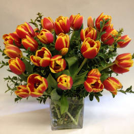Textural Tulips