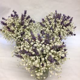 White baby's breath and purple filler flowers in glass vases