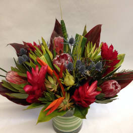 Hawaiian Paradise (Pre-order)