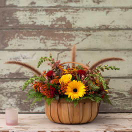 Fall Magic
