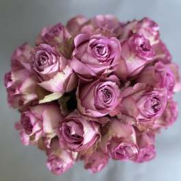 Bouquet of pink roses viewed from above