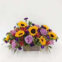 Box of Sunflowers