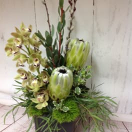 Tall green protea and cymbidium orchid arrangement with branches in a dark square vase
